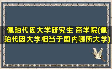 佩珀代因大学研究生 商学院(佩珀代因大学相当于国内哪所大学)